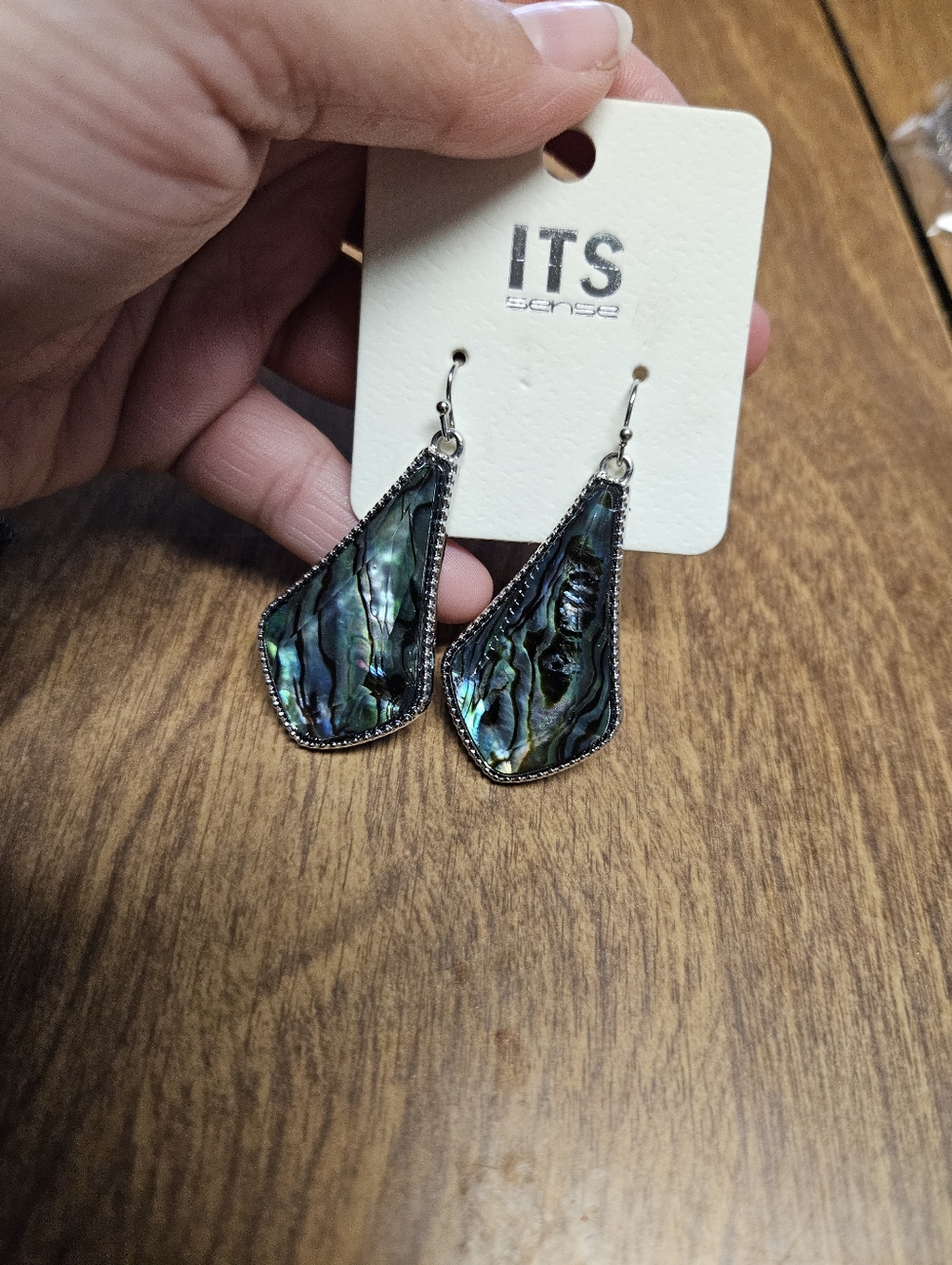 ITS Abaloney Semi Precious Earrings